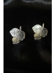 Coppia orecchini in argento con foglia