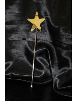 Bacchetta magica in bila di argento